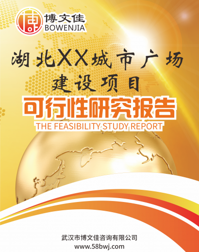 湖北XX城市广场D地块建设项目可行性研究报告